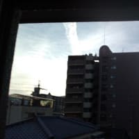 2025年7月11日（金）晴。