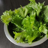 しそもろた