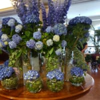 紫陽花色に囲まれて・・アンカーズラウンジ