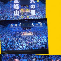 ☆新松戸祭りにいってきましたよ！！あつ！（笑）☆