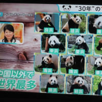 九州北部・近畿に史上最も早い「梅雨明け」