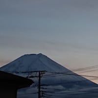 ふたご座流星群ですよ！
