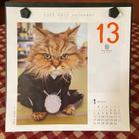 成人の日2025