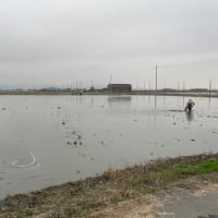 NO.10のポンプ整地