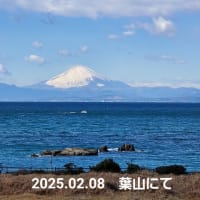 三浦半島西海岸を歩く