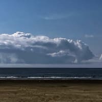 🌜️夏至🌞surfing#30 無風膝➜おむすび