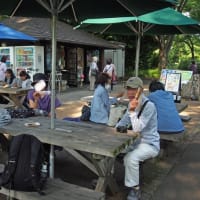 「太極拳仲間の旅立ち」