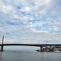 今日は低い所から失礼しますよ　単身赴任748日目