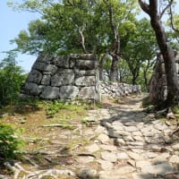佐伯城 豊後国　山上の石垣の城郭遺構を堪能　東海古城研究会の見学会で訪れました