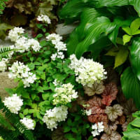 葉花