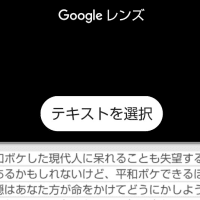 「グーグルレンズ」に今さらながら脱帽！画像からテキストを簡単に抽出