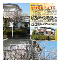花巡り「梅－315」　幸手市香日向２丁目