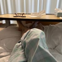 またしても久し振り