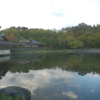 日本庭園・昭和記念公園