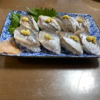 釣果報告‼︎20250118釣りぞめ