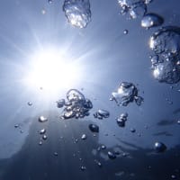 ウネリに身をまかせて漂えば胎児気分・・・海は浜っ子の社交場