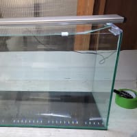 中古 GEX 60cmオールガラス水槽と60cm用LEDライト