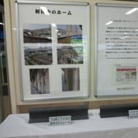 現役のときにお会いしたかった