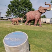 リサの北海道旅行㉒　釧路川源流カヌーツアーと摩周湖😄