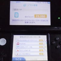 【3DS】ニンテンドー3DSの2GB SDメモリーカードを４GBに換えてみました