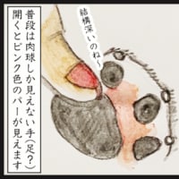 足の裏事情