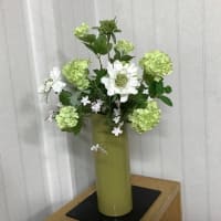 ご無沙汰しましたまたがんばります