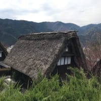 家族旅行