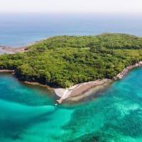 るたこじ、脱出島。