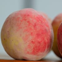 庭の "桃やスイカ" 今年も豊作 旬を味わっています（2025年7月）