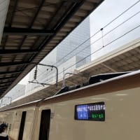 東京観光をしてきました。（2022年9月）