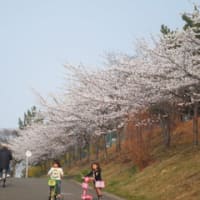 地滑り危険。
