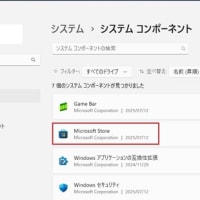 Windows 11 Canary Build 27898.1000 にアップデートしたら、Microsoft Store が起動できなくなりました！！