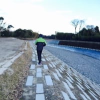 明けましておめでとうございます