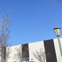 晴れ晴れデイズ♪