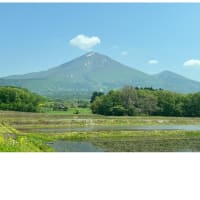 今日いち-2025年5月23日