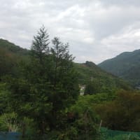 令和7年5月27日・今朝の東祖谷9℃（9.6℃）