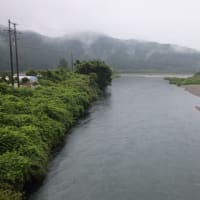 本日の海部川