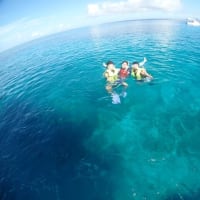水納島の季節までもう少し