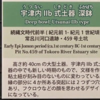 北見市　国史跡・常呂遺跡②ところ遺跡の館❶縄文・続縄文時代  族長の墓の副葬品