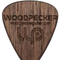 【アコギメーカーを語る】木の温もりを感じるメーカー、woodpecker！