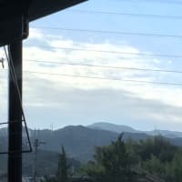 岩湧 森まつり 緊急出動だよ(^_^)