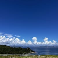 大学生来県