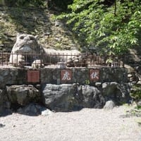 和歌山城と絵手紙展