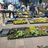 恵庭の花ロード・恵庭温泉へ・・