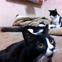 年末最後の挨拶である