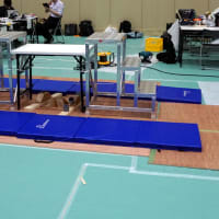 ロボカップジャパンオープン2025　続き