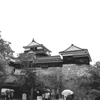 愛媛の旅
