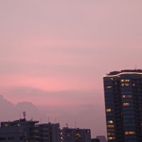 よい日曜日、そろそろ寝る。