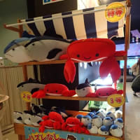 ３階水槽展示室