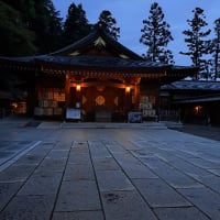 雨上がりの境内に